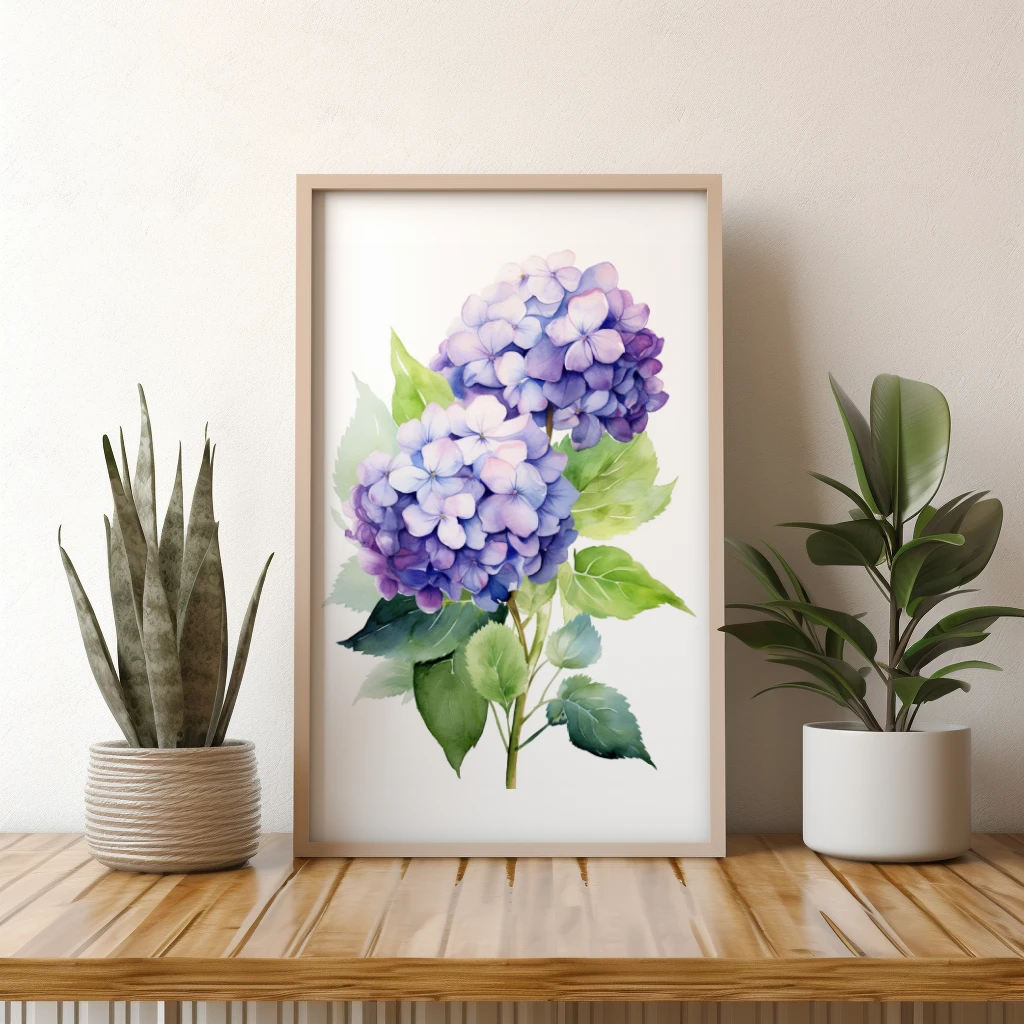 Hortensia waterverf poster